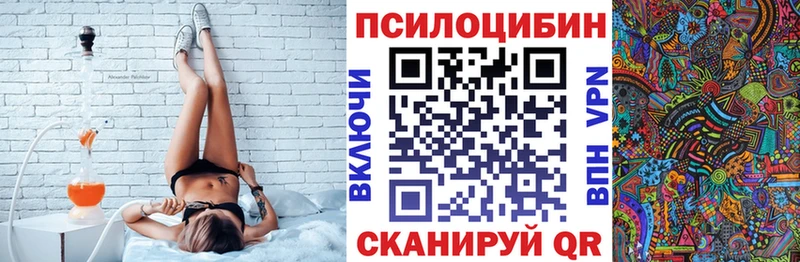 Галлюциногенные грибы Psilocybe  дарнет шоп  Подольск 